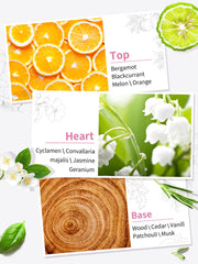 premiere Beaute Parfum collection