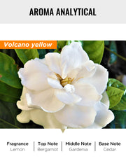 yellow volcano scented candle