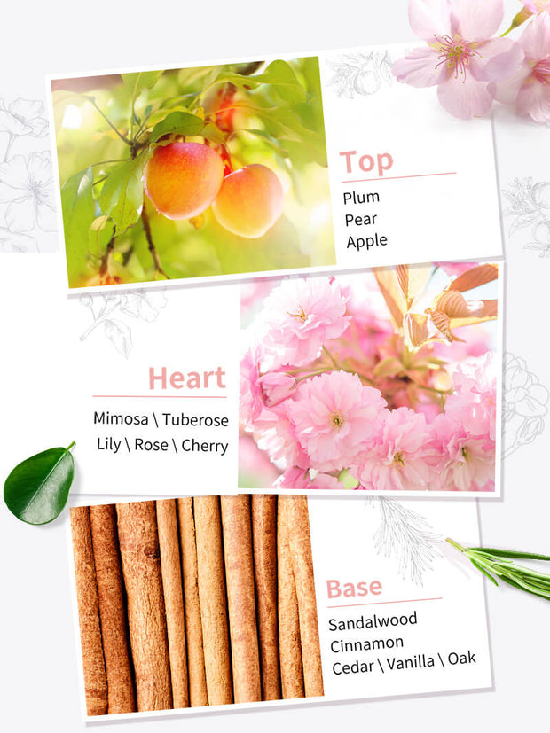 premiere Beaute Parfum collection
