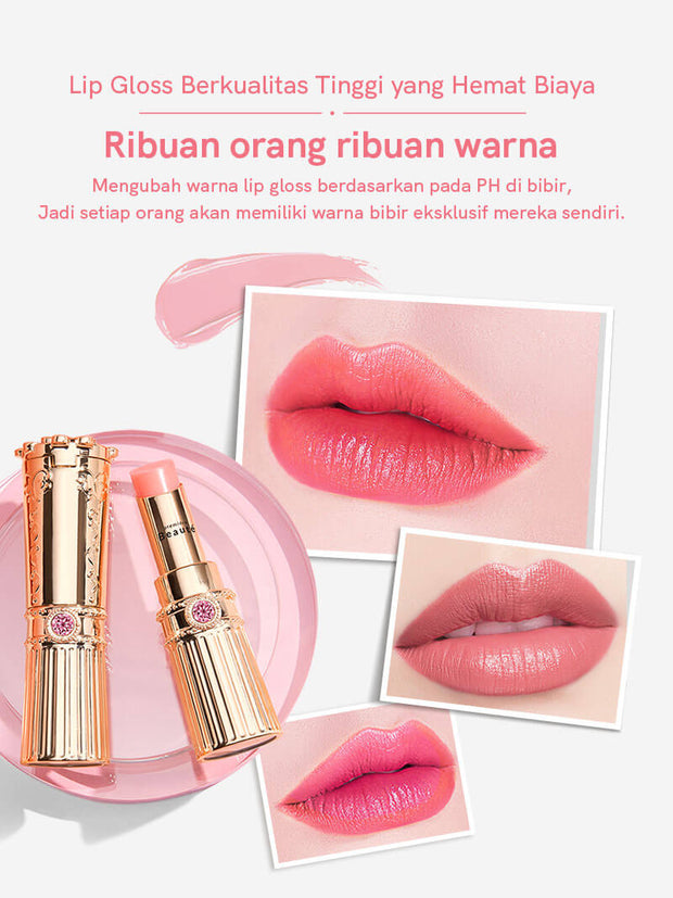 <b> 2021 Lip Gloss office make up set</b>